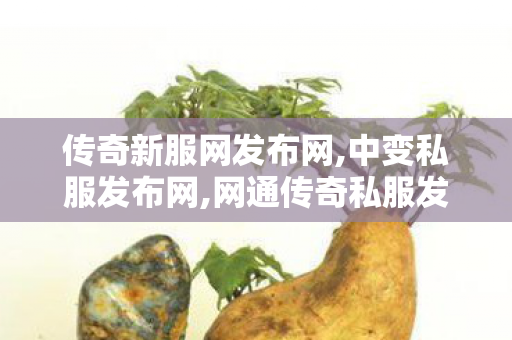 传奇新服网发布网,中变私服发布网,网通传奇私服发布网,中变私服发布网