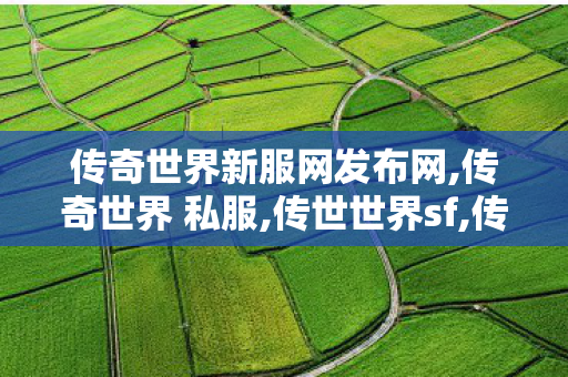传奇世界新服网发布网,传奇世界 私服,传世世界sf,传奇世界 私服