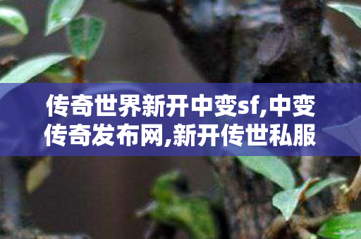 传奇世界新开中变sf,中变传奇发布网,新开传世私服发布网,中变传奇发布网