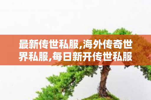 最新传世私服,海外传奇世界私服,每日新开传世私服,海外传奇世界私服