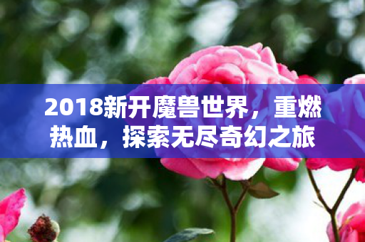 2018新开魔兽世界，重燃热血，探索无尽奇幻之旅