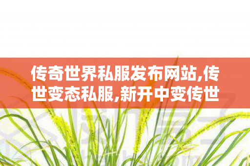 传奇世界私服发布网站,传世变态私服,新开中变传世,传世变态私服