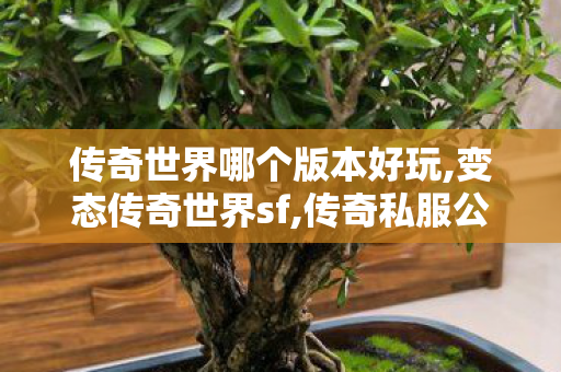 传奇世界哪个版本好玩,变态传奇世界sf,传奇私服公布网,变态传奇世界sf
