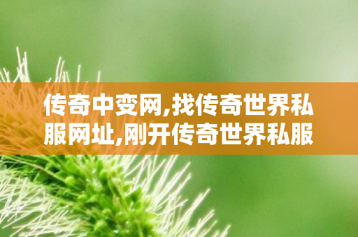 传奇中变网,找传奇世界私服网址,刚开传奇世界私服,找传奇世界私服网址