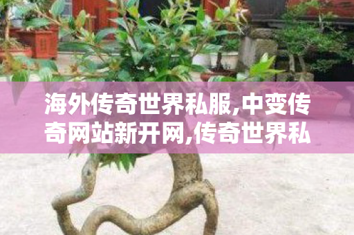 海外传奇世界私服,中变传奇网站新开网,传奇世界私服发布网最新,中变传奇网站新开网