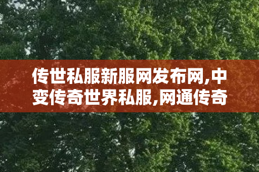 传世私服新服网发布网,中变传奇世界私服,网通传奇私服网站,中变传奇世界私服