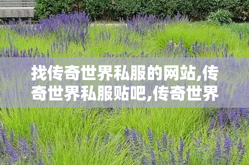 找传奇世界私服的网站,传奇世界私服贴吧,传奇世界私服网址,传奇世界私服贴吧