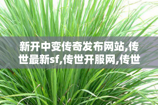 新开中变传奇发布网站,传世最新sf,传世开服网,传世最新sf