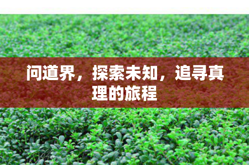 问道界，探索未知，追寻真理的旅程
