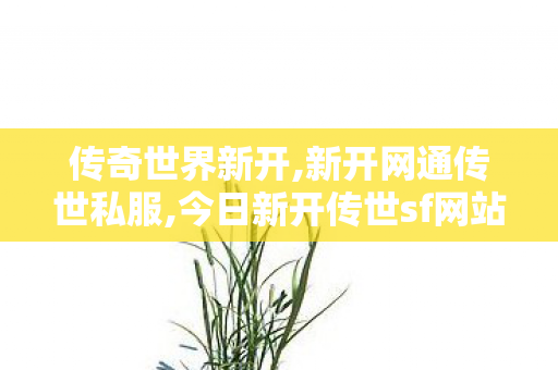 传奇世界新开,新开网通传世私服,今日新开传世sf网站,新开网通传世私服