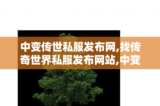 中变传世私服发布网,找传奇世界私服发布网站,中变传奇世界私服,找传奇世界私服发布网站