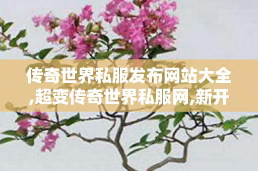 传奇世界私服发布网站大全,超变传奇世界私服网,新开传奇世界网站刚开一秒,超变传奇世界私服网