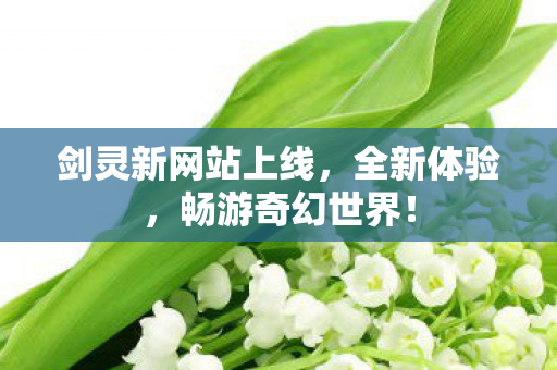剑灵新网站上线，全新体验，畅游奇幻世界！
