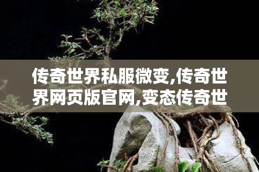 传奇世界私服微变,传奇世界网页版官网,变态传奇世界sf,传奇世界网页版官网
