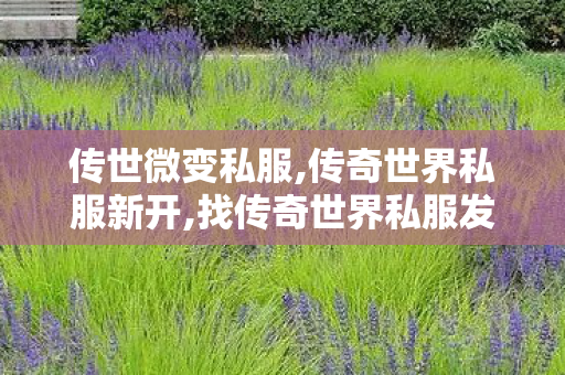 传世微变私服,传奇世界私服新开,找传奇世界私服发布网,传奇世界私服新开