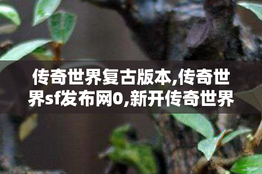 传奇世界复古版本,传奇世界sf发布网0,新开传奇世界私服网站,传奇世界sf发布网0