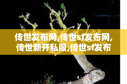 传世发布网,传世sf发布网,传世新开私服,传世sf发布网