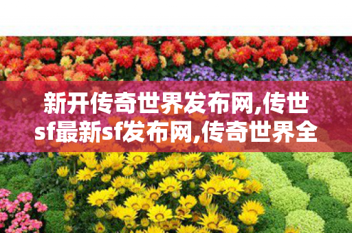 新开传奇世界发布网,传世sf最新sf发布网,传奇世界全新区,传世sf最新sf发布网