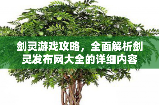 剑灵游戏攻略，全面解析剑灵发布网大全的详细内容
