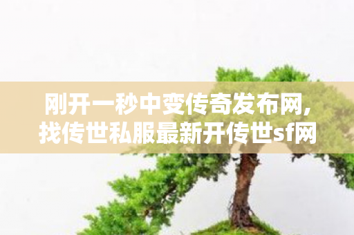 刚开一秒中变传奇发布网,找传世私服最新开传世sf网,找传奇世界私服的网站,找传世私服最新开传世sf网
