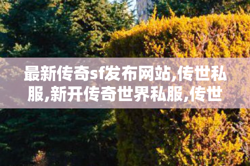 最新传奇sf发布网站,传世私服,新开传奇世界私服,传世私服