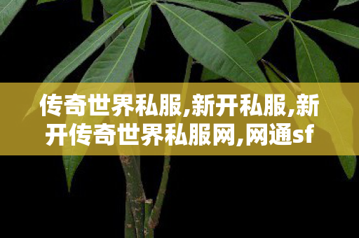 传奇世界私服,新开私服,新开传奇世界私服网,网通sf,新开传奇世界私服网