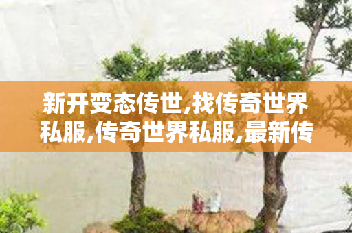 新开变态传世,找传奇世界私服,传奇世界私服,最新传世私服,找传奇世界私服
