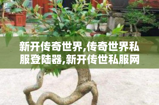 新开传奇世界,传奇世界私服登陆器,新开传世私服网,传奇世界私服登陆器
