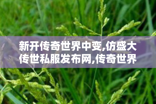 新开传奇世界中变,仿盛大传世私服发布网,传奇世界私服,传世sf网站,仿盛大传世私服发布网