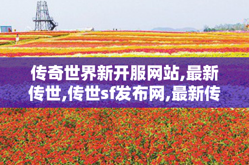 传奇世界新开服网站,最新传世,传世sf发布网,最新传世