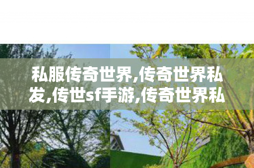 私服传奇世界,传奇世界私发,传世sf手游,传奇世界私发