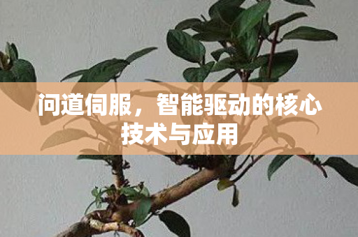 问道伺服，智能驱动的核心技术与应用