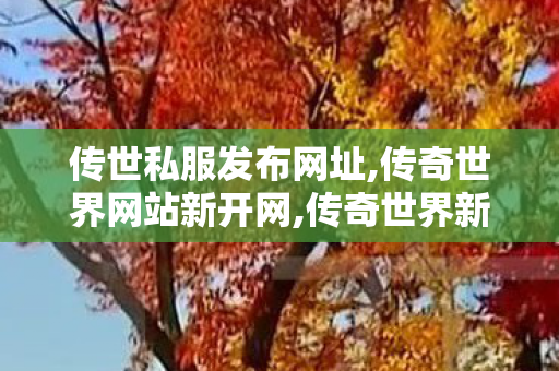 传世私服发布网址,传奇世界网站新开网,传奇世界新开服网站,传奇世界网站新开网
