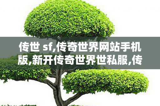 传世 sf,传奇世界网站手机版,新开传奇世界世私服,传奇世界网站手机版