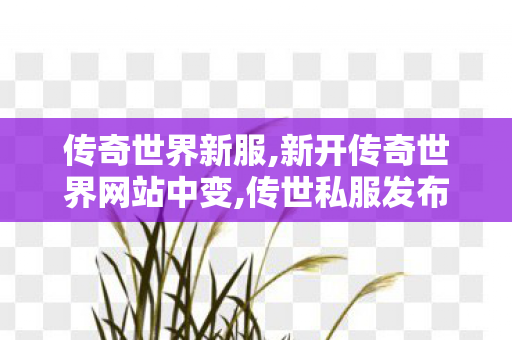 传奇世界新服,新开传奇世界网站中变,传世私服发布网新服,新开传奇世界网站中变