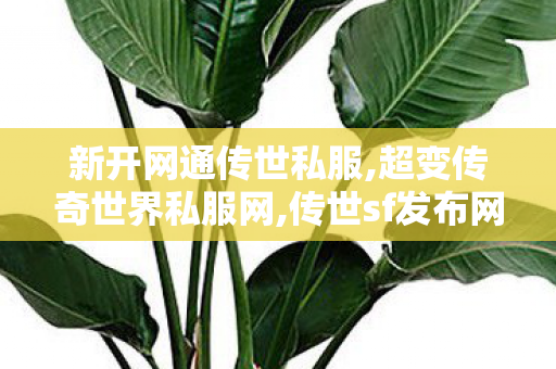 新开网通传世私服,超变传奇世界私服网,传世sf发布网新服,超变传奇世界私服网