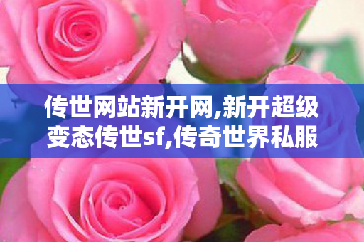传世网站新开网,新开超级变态传世sf,传奇世界私服网,新开超级变态传世sf