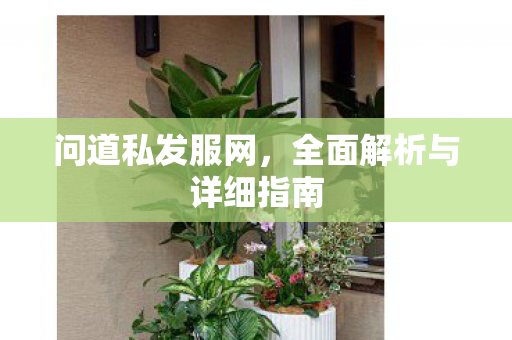问道私发服网，全面解析与详细指南