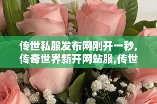 传世私服发布网刚开一秒,传奇世界新开网站服,传世sf吧,传奇世界新开网站服