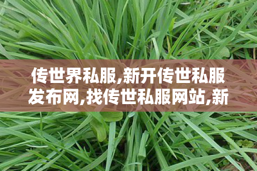 传世界私服,新开传世私服发布网,找传世私服网站,新开传世私服发布网