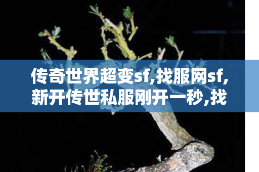传奇世界超变sf,找服网sf,新开传世私服刚开一秒,找服网sf