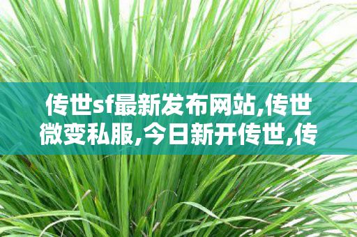 传世sf最新发布网站,传世微变私服,今日新开传世,传世微变私服