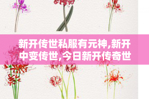 新开传世私服有元神,新开中变传世,今日新开传奇世界私发服网,新开中变传世