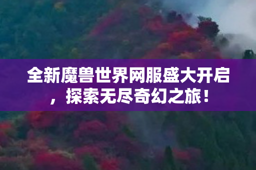 全新魔兽世界网服盛大开启，探索无尽奇幻之旅！