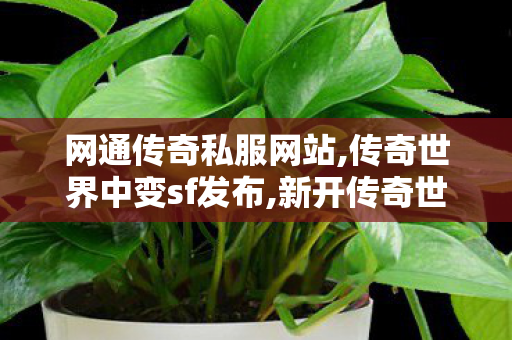 网通传奇私服网站,传奇世界中变sf发布,新开传奇世界世私服,传奇世界中变sf发布