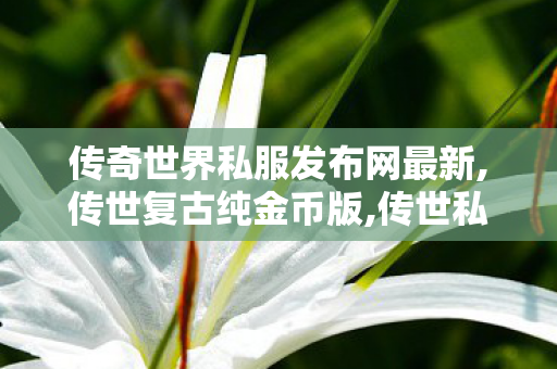 传奇世界私服发布网最新,传世复古纯金币版,传世私服发布网新开服,传世复古纯金币版