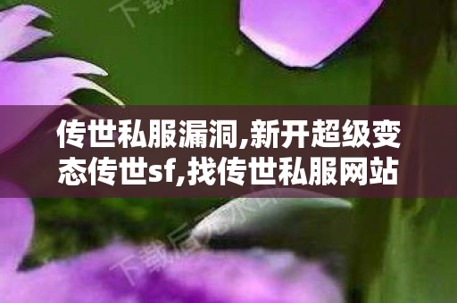 传世私服漏洞,新开超级变态传世sf,找传世私服网站,新开超级变态传世sf