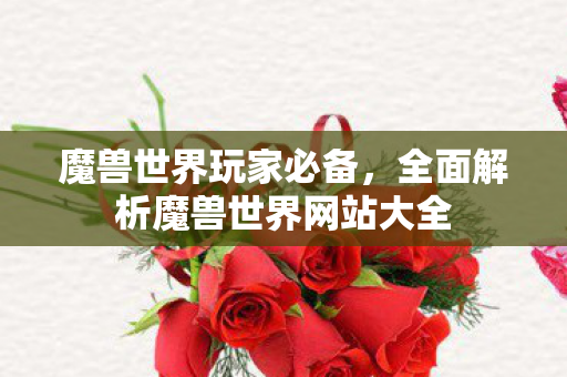 魔兽世界玩家必备，全面解析魔兽世界网站大全