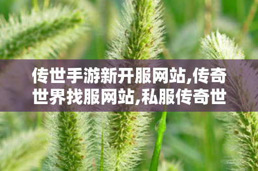 传世手游新开服网站,传奇世界找服网站,私服传奇世界,传奇世界找服网站