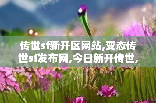 传世sf新开区网站,变态传世sf发布网,今日新开传世,变态传世sf发布网